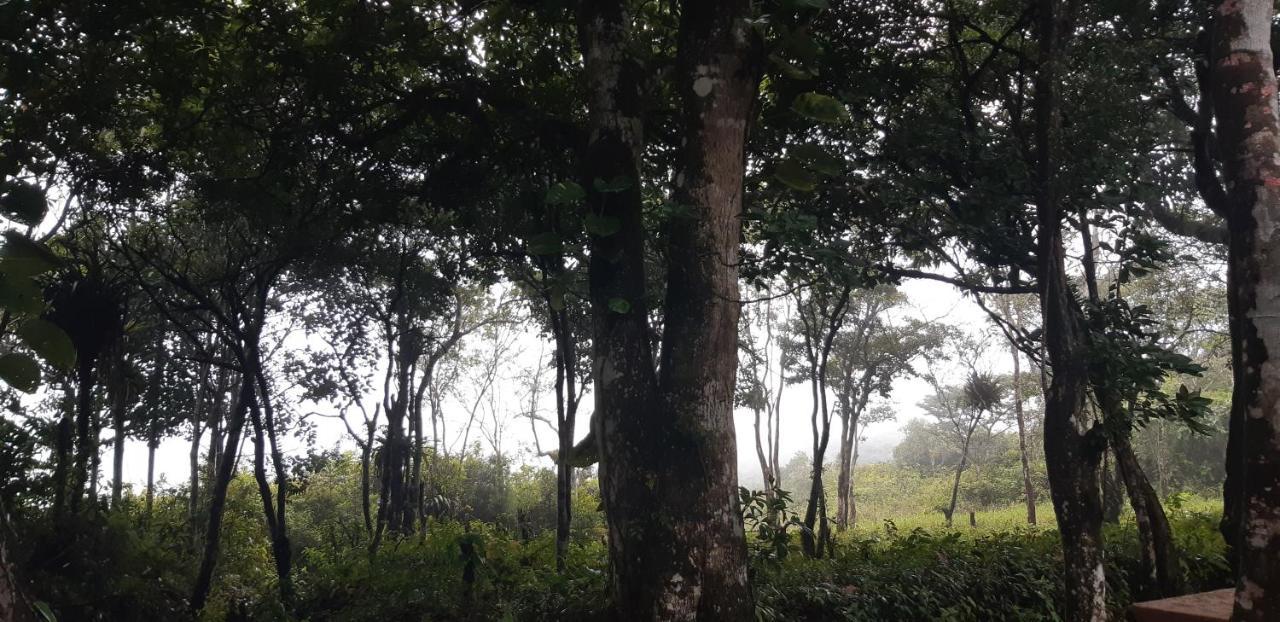 Pousada De Serra Tutuca Guaramiranga Exterior foto